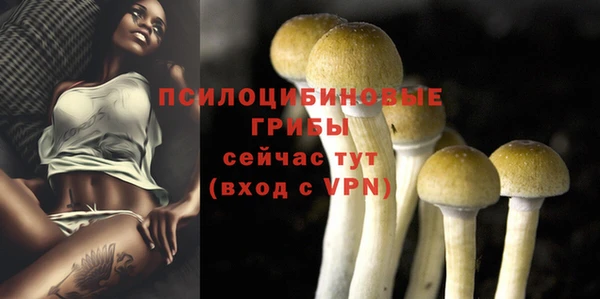 трава Наволоки