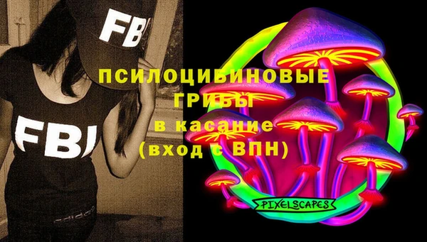 ПСИЛОЦИБИНОВЫЕ ГРИБЫ Надым