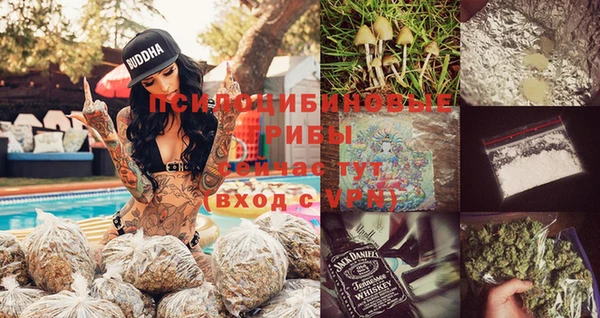ПСИЛОЦИБИНОВЫЕ ГРИБЫ Надым