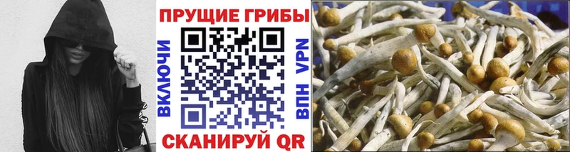 Псилоцибиновые грибы MAGIC MUSHROOMS Кимовск