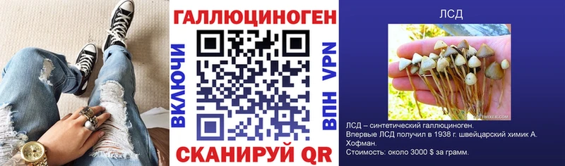 Купить где  Кимовск  Псилоцибиновые грибы Psilocybine cubensis 